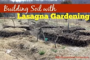 Build soil in your garden with the Lasagna gardening method | Homestead Honey
