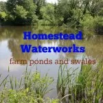 Homestead Waterworks