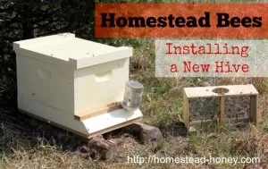 Installing a New Hive