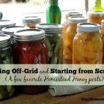 Off-Grid Living and Starting a Homestead from Scratch