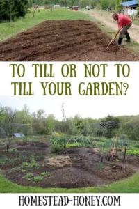 Should you till your garden or rely on no-till methods? I share my experience with both techniques.