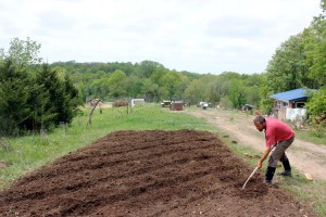 Shaping raised beds from a tilled garden | Homestead Honey