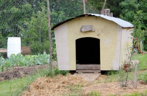 Duck and chick house | Homestead Honey