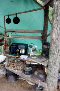 The cooking area of our homestead's outdoor kitchen | Homestead Honey