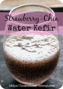 Making Strawberry Chia Water Kefir | Homestead Honey