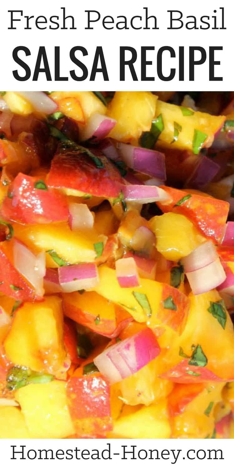 A delicious peach salsa recipe captures the flavors of summer. Try this peach basil salsa on grilled fish, or as a dip. Makes a great potluck dish! | Homestead Honey
