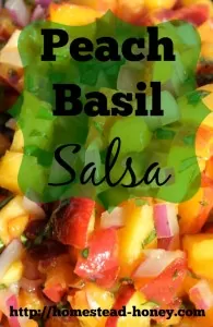 Peach Basil Salsa recipe | Homestead Honey