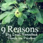 9 Reasons Why Local Homestead Friends are Priceless