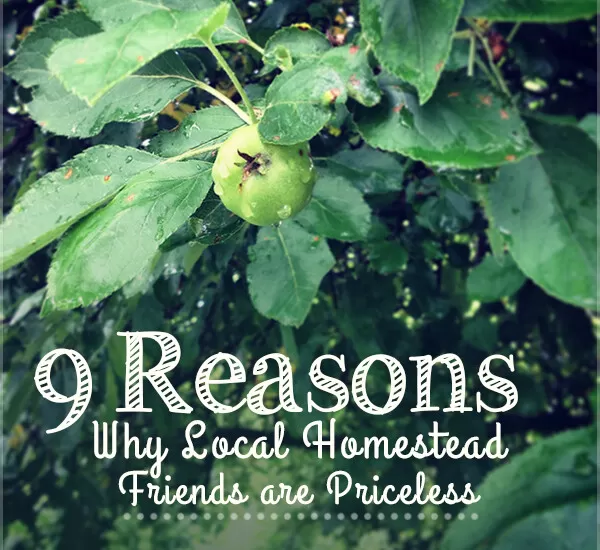 Why Local Homestead Friends are Priceless (guest post by Erin Kelly) | Homestead Honey