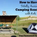 How to Have a Totally Awesome Camping Road Trip with Kids