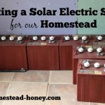 Selecting a Solar Electric System for our Homestead