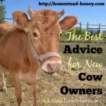 What Every New Cow Owner Should Know…