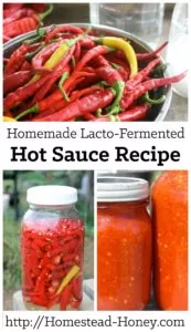 Capture the taste of summer with this homemade lacto-fermented hot sauce recipe - it's better than anything you will taste in the store! | Homestead Honey