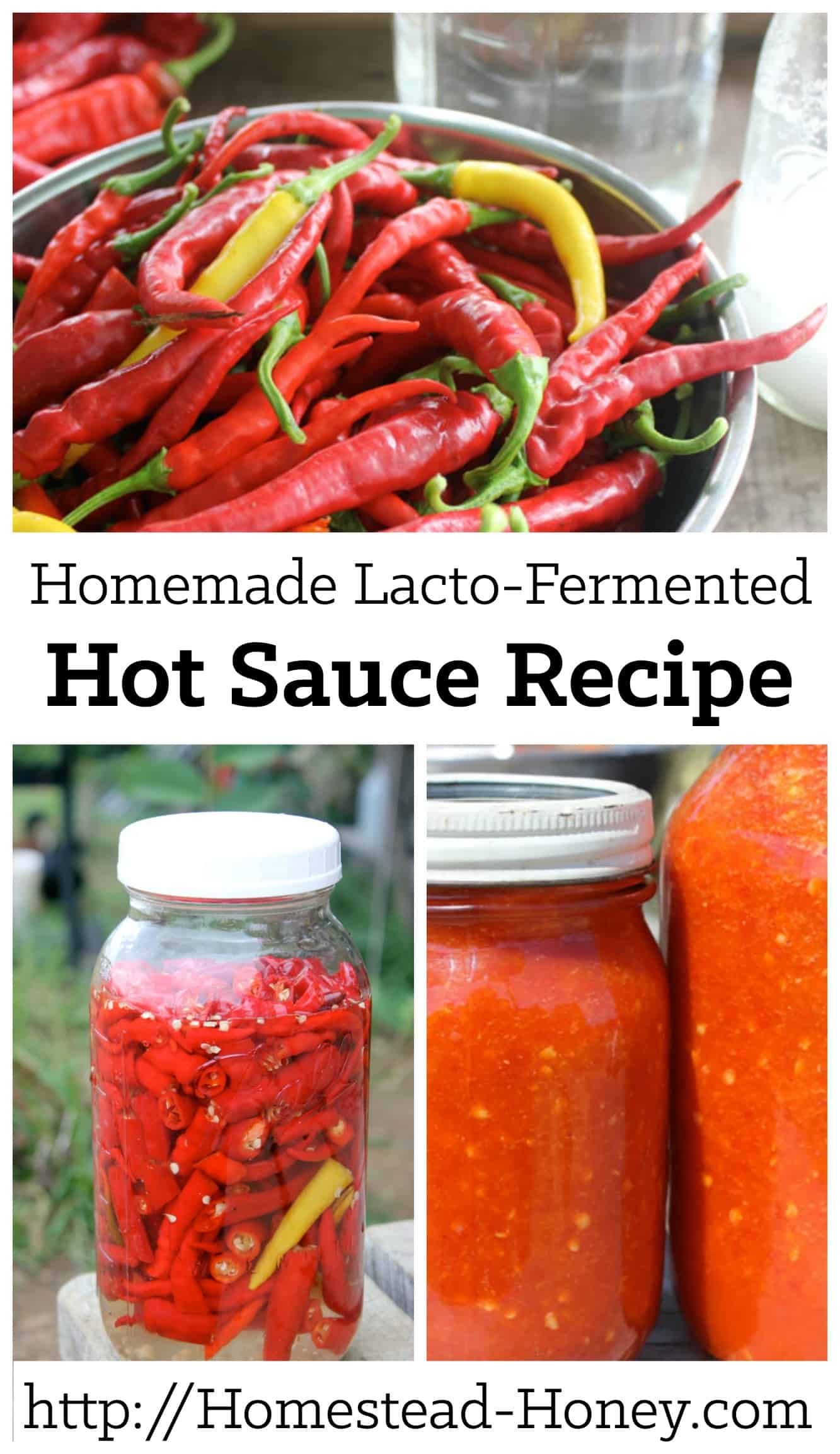 Homemade Hot Sauce Recipe Homestead Honey