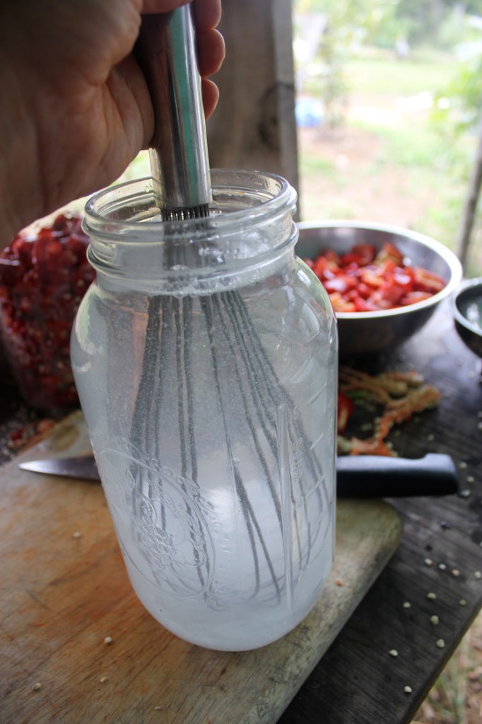 Homemade Hot Sauce Recipe Homestead Honey