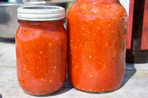 Homemade Tobasco-style hot sauce | Homestead Honey