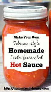 Make Your Own Homemade Hot Sauce | Homestead Honey