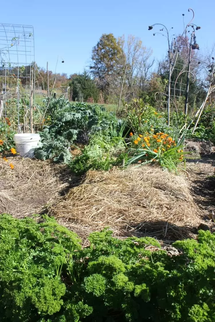 Preparing your garden for winter. Step One: Compost | Homestead Honey https://homestead-honey.com