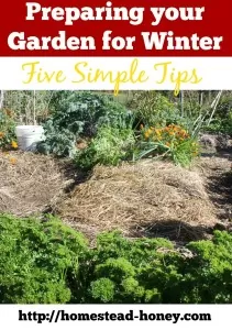 Prepare your garden for winter with these five easy tips! | Homestead Honey https://homestead-honey.com
