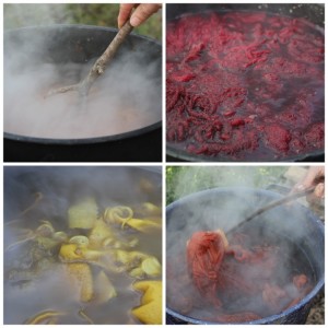Dyes created from goldenrod, Bidens, pokeberry and wild sunflower in a Natural Dyeing class | Homestead Honey https://homestead-honey.com