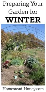 Preparing your garden for winter is quite simple when you follow these five steps: Compost, Cover, Create, Collect, and Celebrate! | Homestead Honey