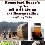 Top Living Off the Grid and Homesteading Posts of 2014