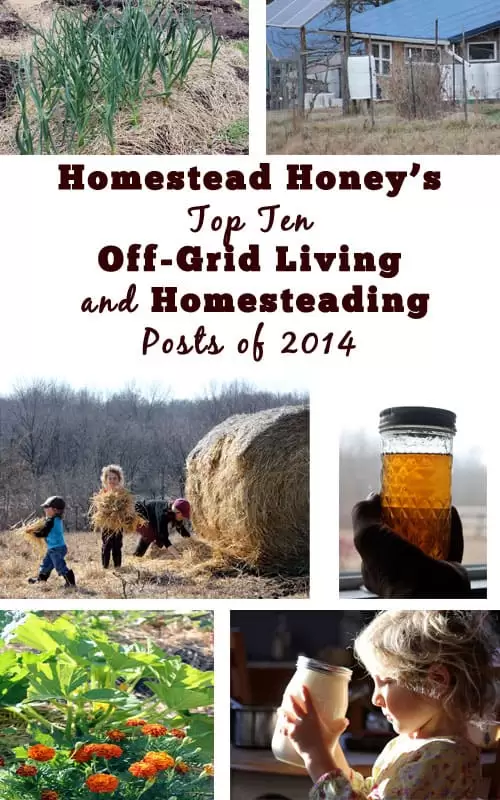 Top Homesteading and Off-Grid Living posts of 2014