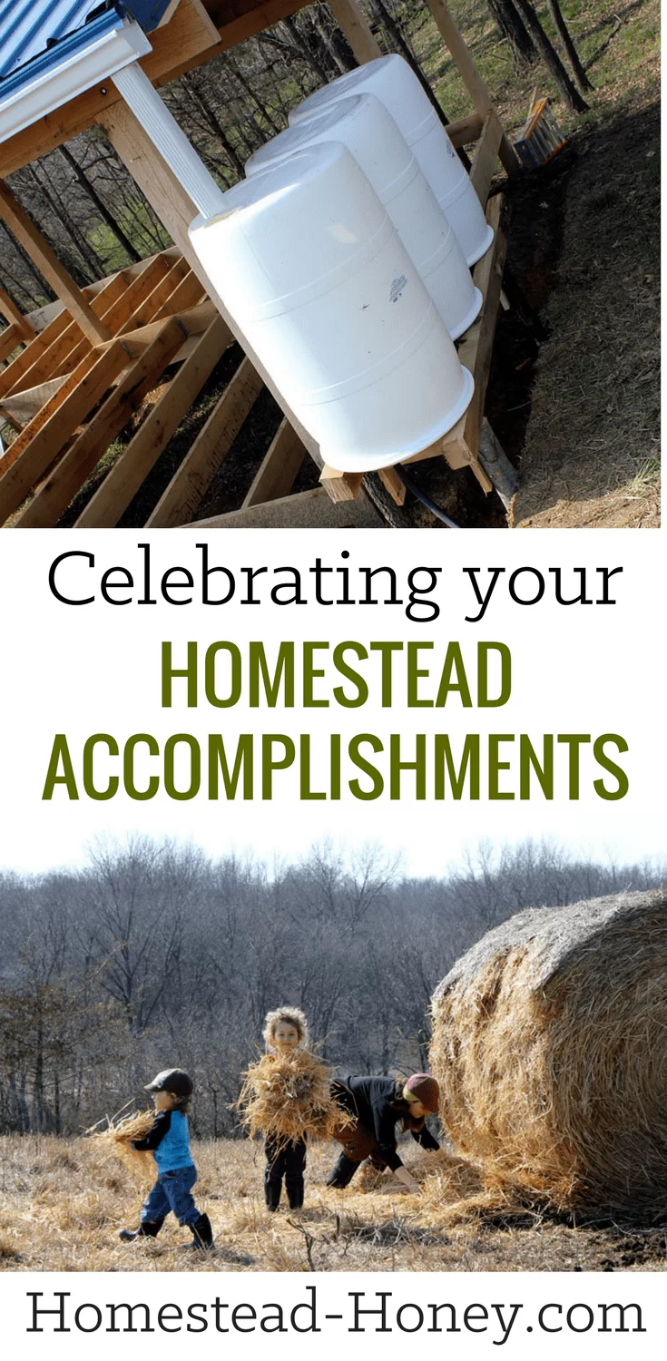 Before you set goals for the year, take time to celebrate your homestead accomplishments! 