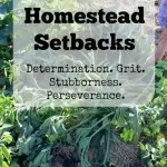 Overcoming Homestead Setbacks