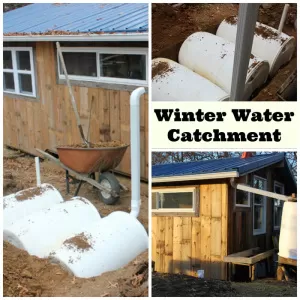 Winter water catchment options for your homestead | Homestead Honey