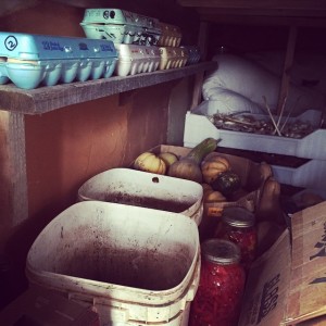 A variety of foods stored in the coolest area of our house | Homestead Honey