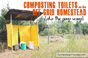 Composting toilets for the homestead | Homestead Honey