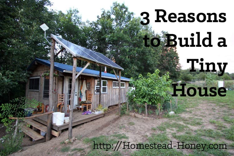 TIny houses are a popular trend, but are they really the best option for everyone? In this post, I'll share my top three reasons to build a tiny house. | Homestead Honey
