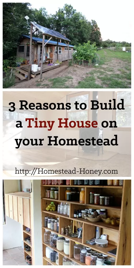 TIny houses are a popular trend, but are they really the best option for everyone? In this post, I'll share my top three reasons to build a tiny house.