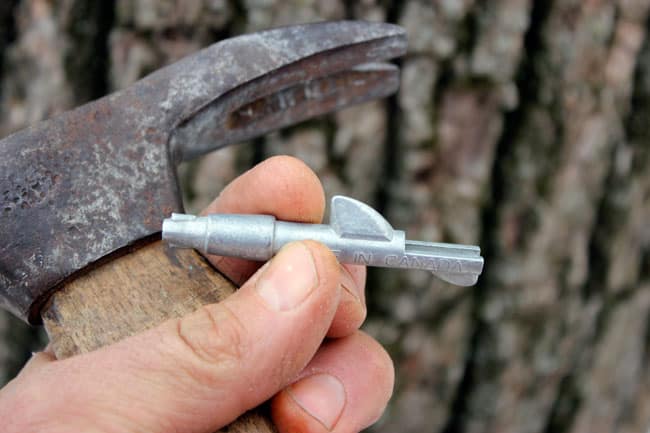 A hammer and a spile are two of the few pieces of equipment that you need to get started tapping your backyard trees for syrup | Homestead Honey