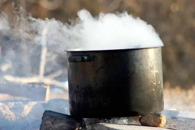Black Walnut sap boiling down to make syrup. Black Walnuts are just one backyard tree that you can tap to make syrup! | Homestead Honey