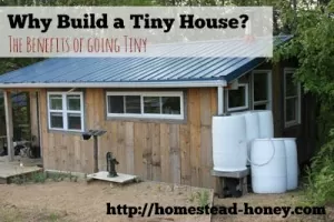 Why build a tiny house? Some of the benefits of going tiny | Homestead Honey