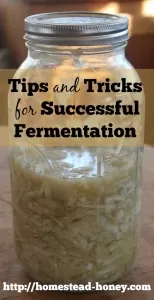 Tips and tricks for successful home fermentation | Homestead Honey