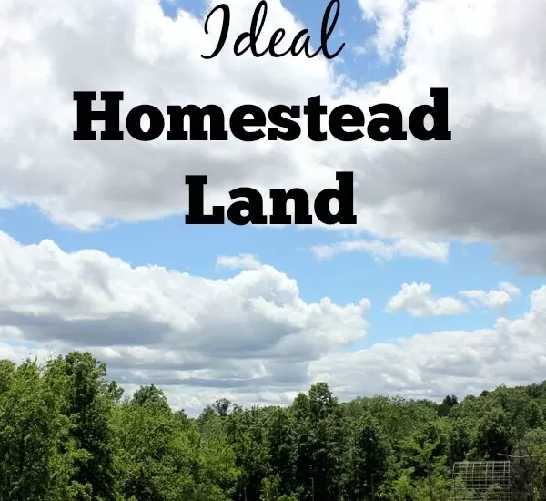These simple questions will give you a crystal clear picture of YOUR ideal homestead land. | Homestead Honey