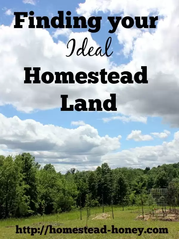 These simple questions will give you a crystal clear picture of YOUR ideal  homestead land. | Homestead Honey