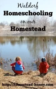 How we Waldorf Homeschool on our Homestead | Homestead Honey