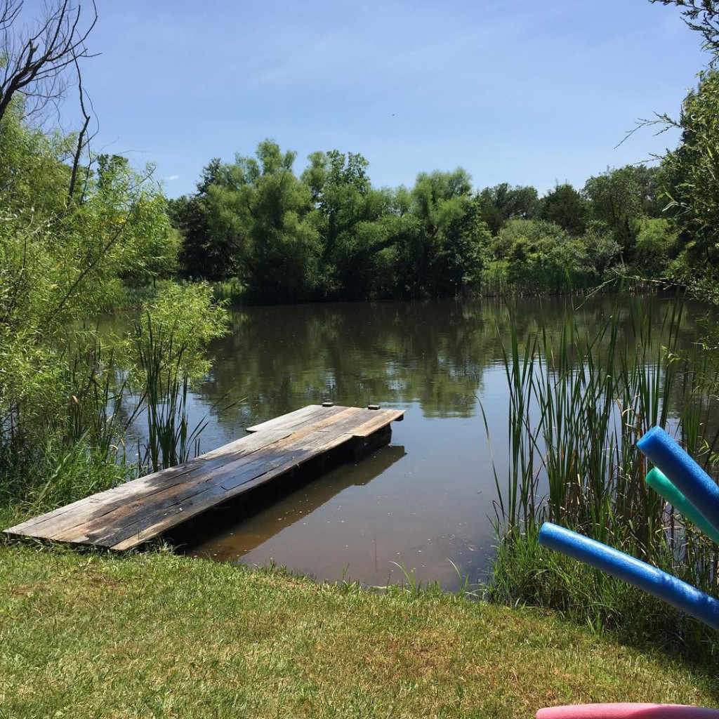 Frequent dips in the pond help keep us stay cool without air conditioning | Homestead Honey