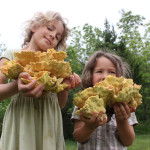 Foraged Food :: How to Safely Enjoy Wild Edibles