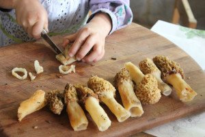 Kids can help prepare wild edibles, such as these morels | Homestead Honey