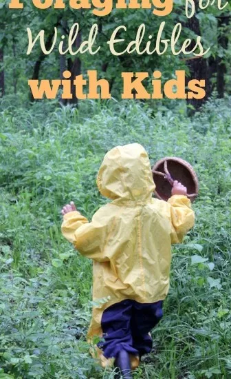 TIps for have a great experiences foraging for wild edibles with kids | Homestead Honey
