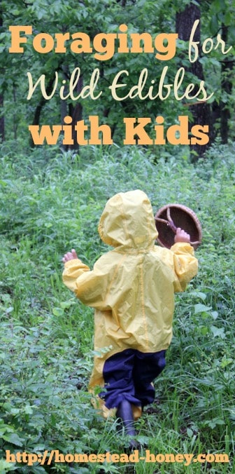 TIps for have a great experiences foraging for wild edibles with kids | Homestead Honey
