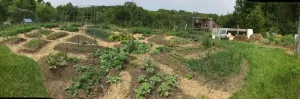 A panoramic view of the lower garden | Homestead Honey