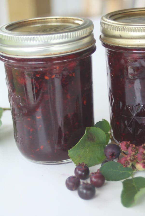 Serviceberry Jam recipe from Homespun Seasonal Living