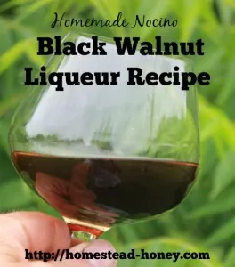 Homemade Black Walnut Liqueur Recipe | Homestead Honey