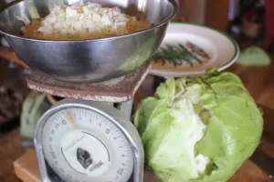 Chopping up cabbage for a giant batch of sauerkraut | Homestead Honey